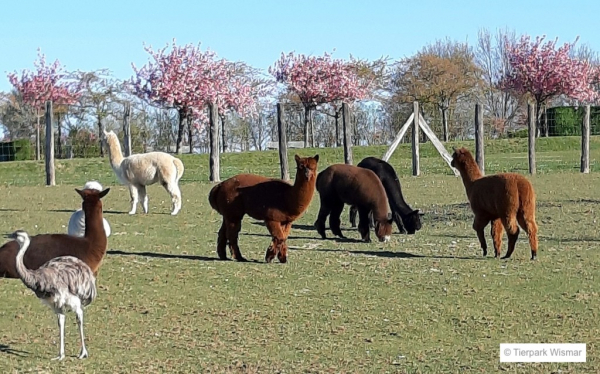 Tierpark Wismar